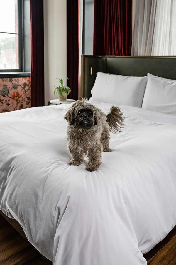 The Broadview Hotel โตรอนโต ภายนอก รูปภาพ